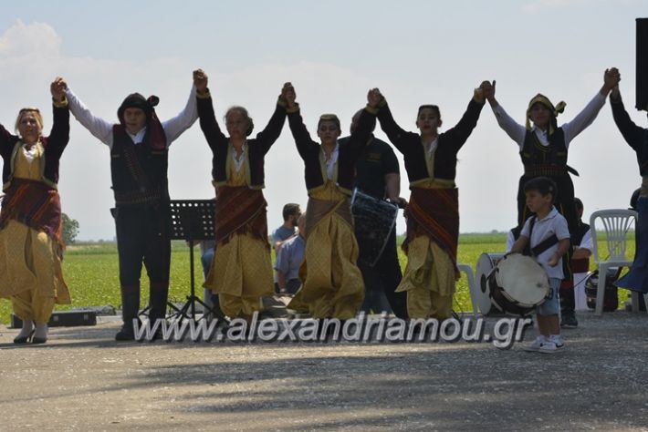 alexandriamou.gr_trikala28.5.2018027